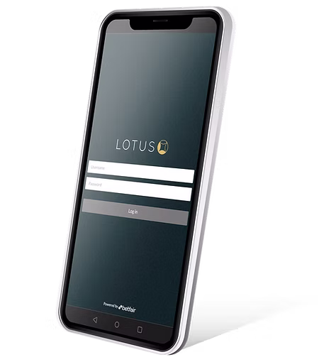 Lotus-Mockup